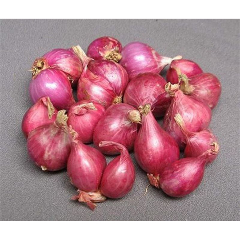 

BAWANG MERAH