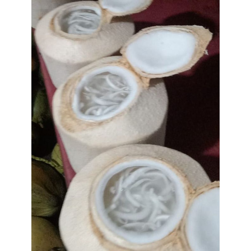 

jelly kelapa muda/kelapa jelly tanpa bahan pengawet di rekomendasikan pengiriman instan peyimpanan hanya bisa bertahan 2 hari