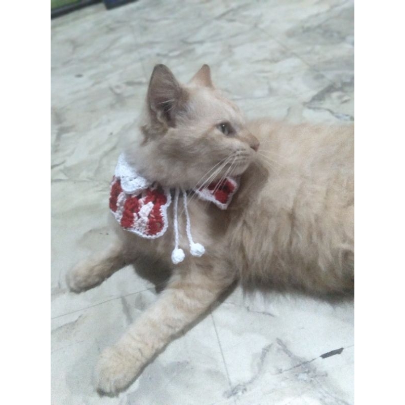 Kalung | Collar Rajut Kucing