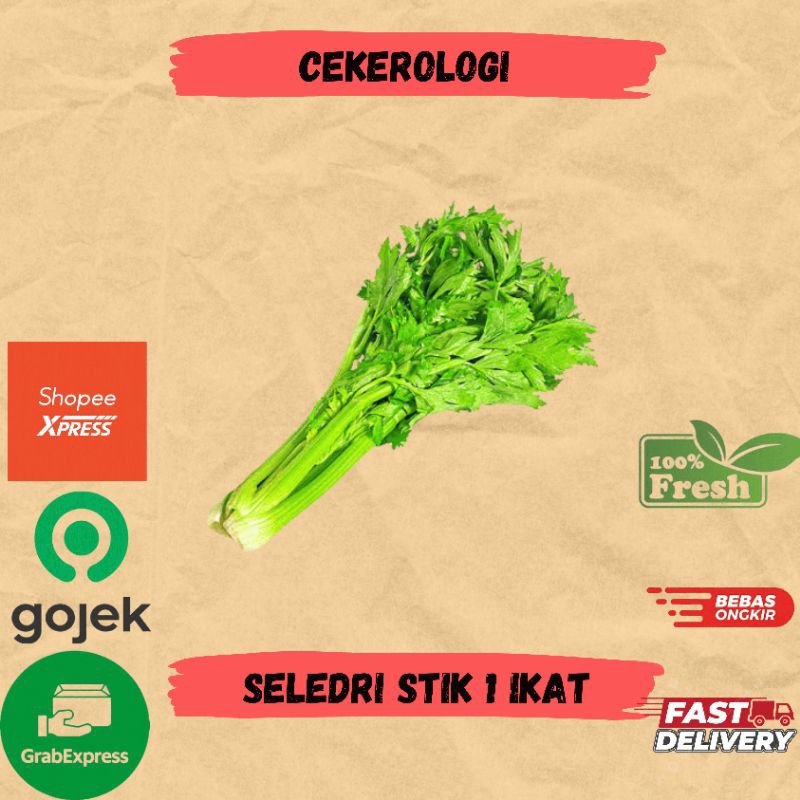

Seledri Stik 1ikat / Seledri Stik Fresh Berkualitas / Seledri Stik / Seledri / JABODETABEK / Sayur Segar / Sayuran / Sayur