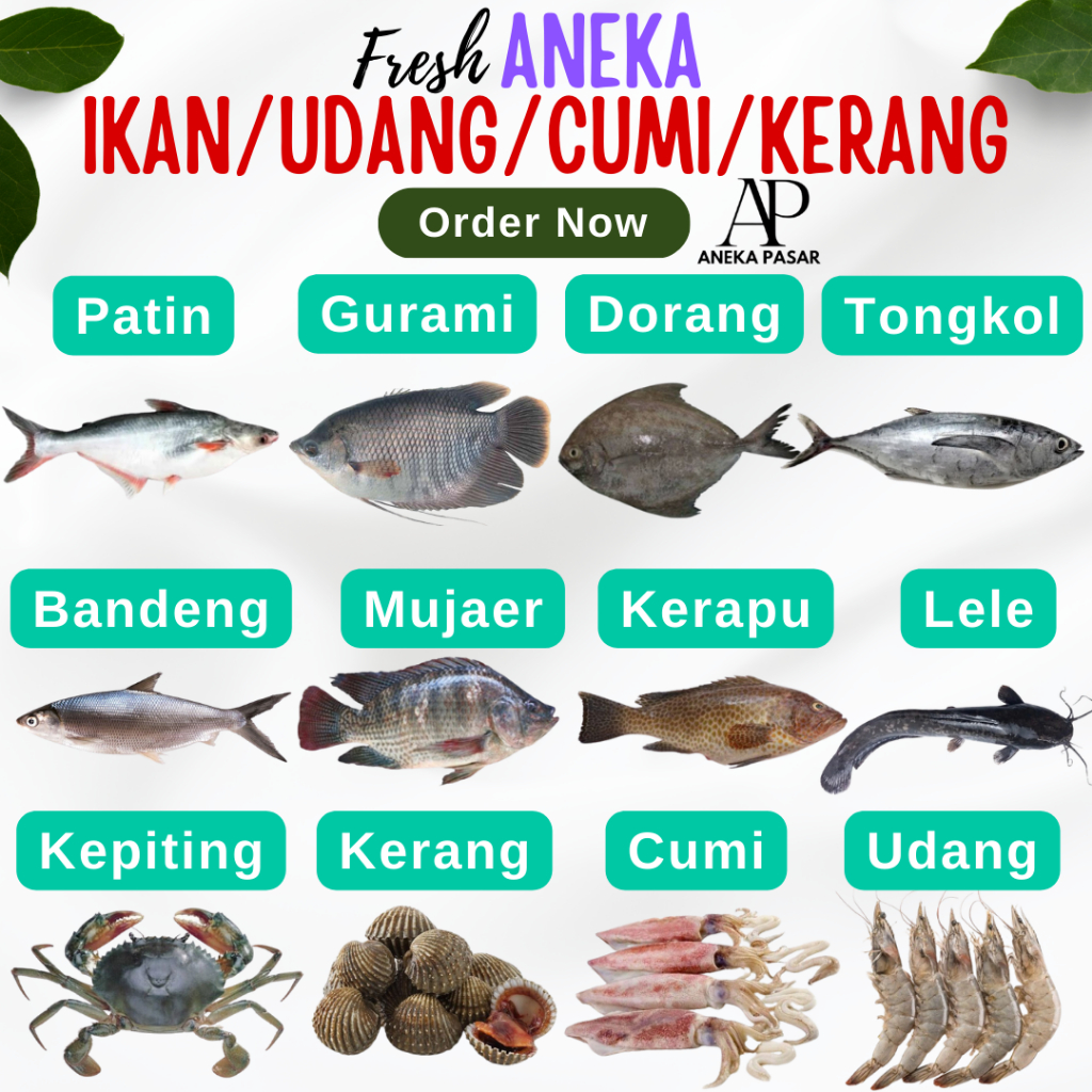 

Ikan Segar Fresh Gurami Patin Mujaer Mujair Lele Bandeng Dorang Tenggiri Udang Cumi Kerang Kepiting