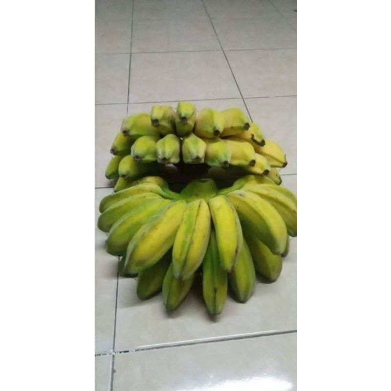 

pisang kepok pesisir / bahan pisang goreng / pampang online