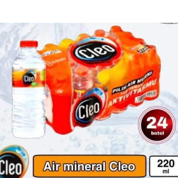 

air mineral cleo 220 ml / cleo botol mini / cleo mini 220ml x 24 pcs