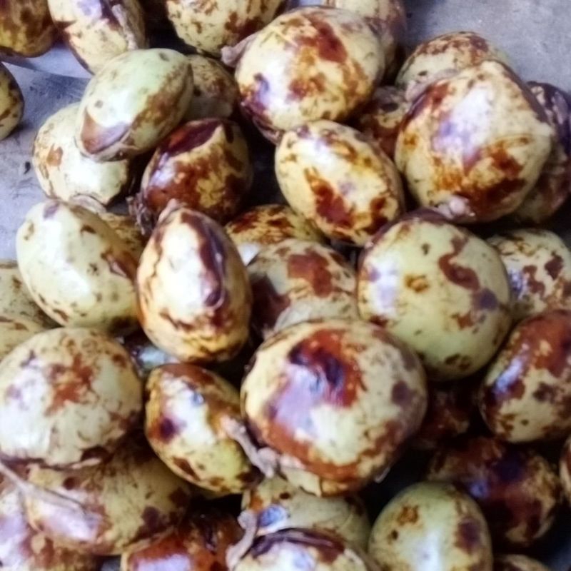 

jengkol,,,jengkol tua ,jengki tua buat di masak empal di lodeh