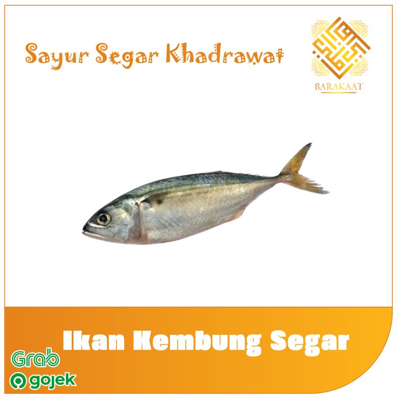 

Ikan Kembung Segar 500 Gram