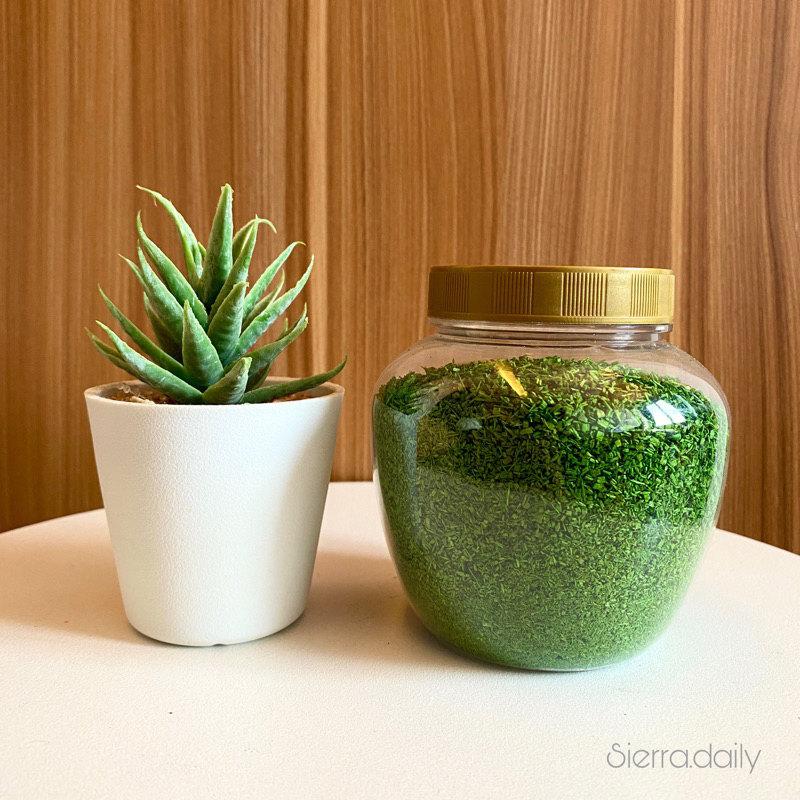 

Rumput Serbuk Diorama 40gr Untuk Maket