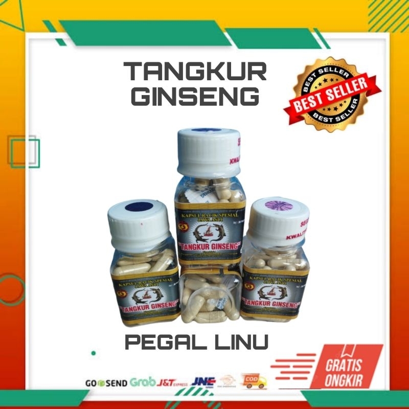 JAMU TANGKUR GINSENG KAPSUL PEGAL LINU (LEBIH AMPUH)