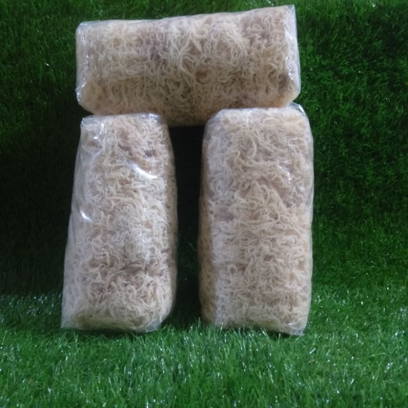 

Rumput Laut Kering Halal Untuk Sup Bisa Juga Untuk Es Campur