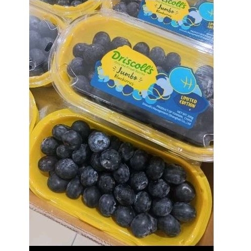 

BUAH BLUBERRY DRISCOLL SUPER LIMITED EDITION JUMBO PACK