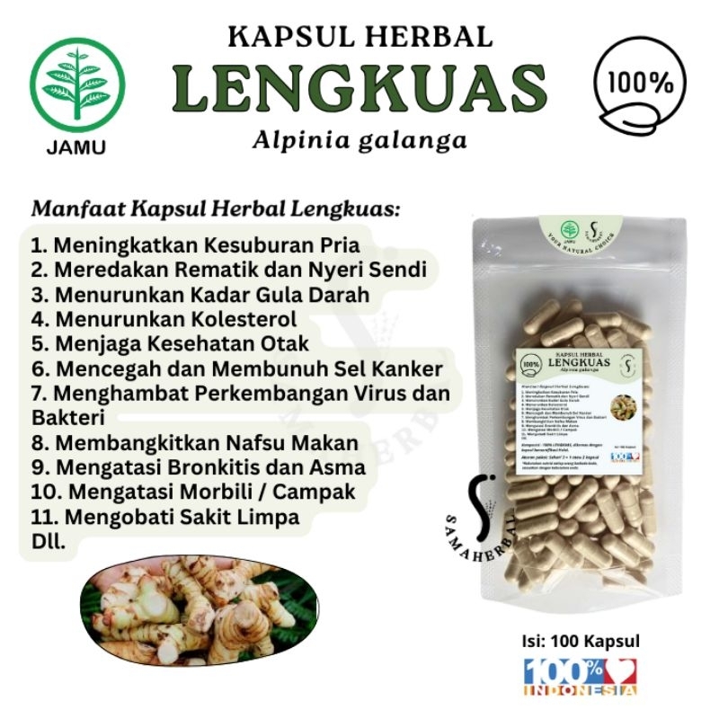 ISI 100 KAPSUL HERBAL LENGKUAS Untuk Rematik Nyeri Sendi dan Kesuburan Pria - SAMAHERBAL