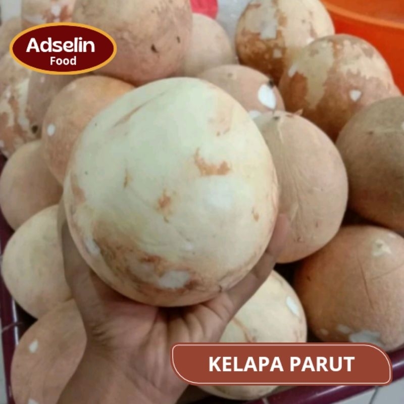 

Kelapa Parut Putih Bersih 1 Butir Segar Super Sayur PENGIRIMAN INSTAN