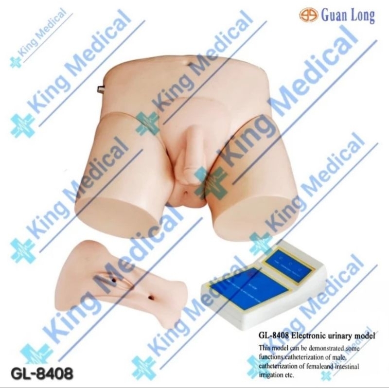 Alat Peraga/Manekin Phantom Electronic Urinary Model/Pemasangan Catheter Saluran Kencing Kemih Laki 
