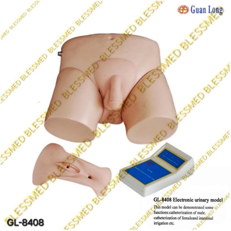 Alat Peraga/Manekin Phantom Electronic Urinary Model/Pemasangan Catheter Saluran Kencing Kemih Laki 