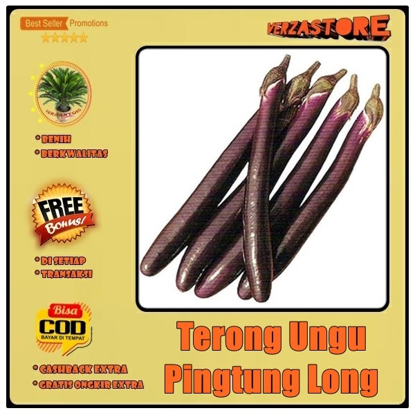 Biji Benih Terong Ungu Pingtung Long Tipe Ramping Panjang Hibrida F1/ 25 BIJI