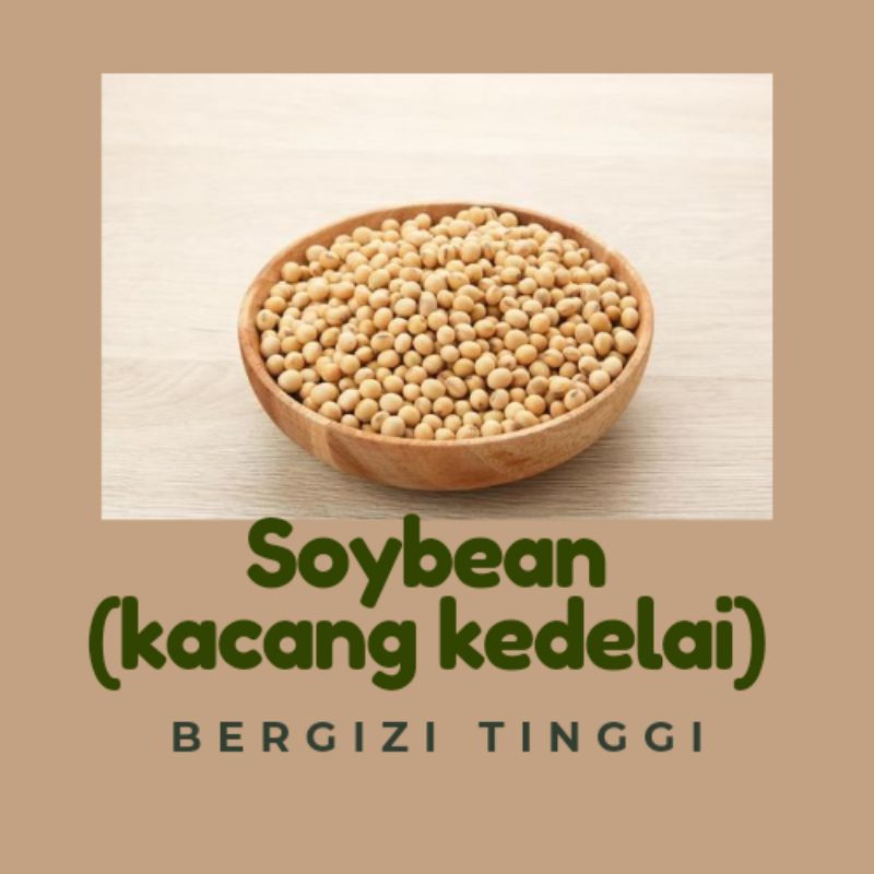 

kacang kedelai