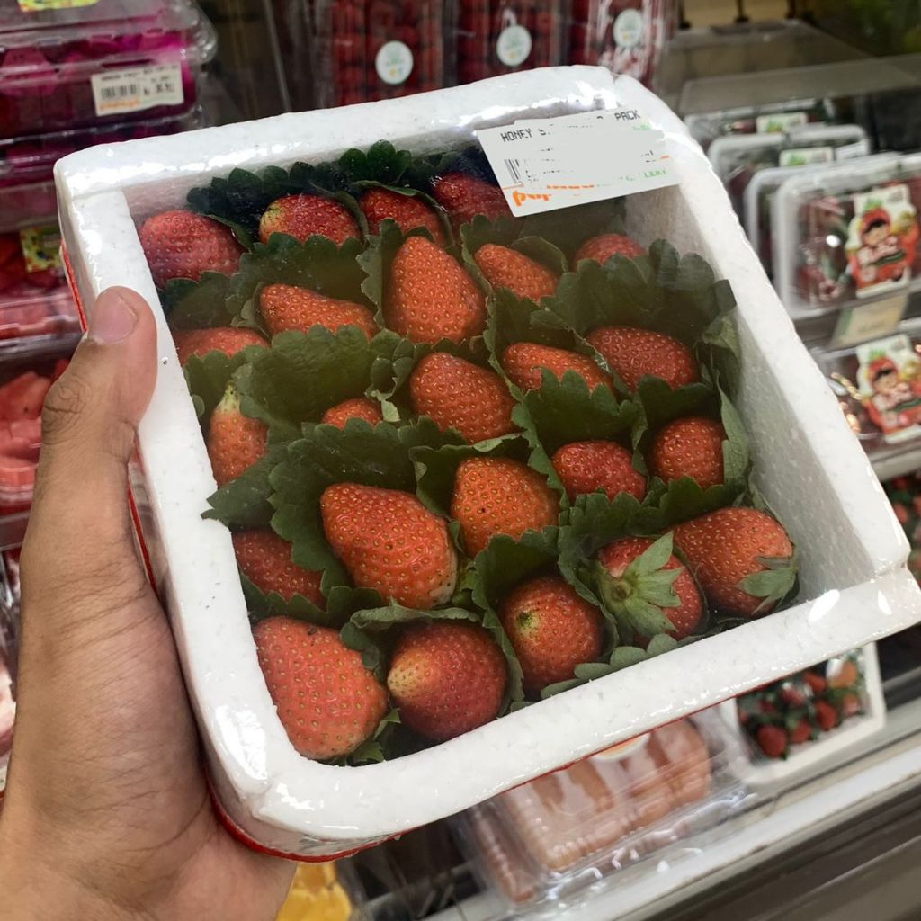 

Honey Strawberry Grade B / Buah Stroberi Segar / Real Fresh Fruit