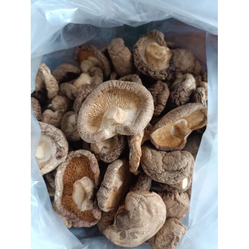 

jamur kancing kering 50gr