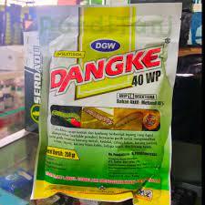 Dangke 40 WP 250 Gr