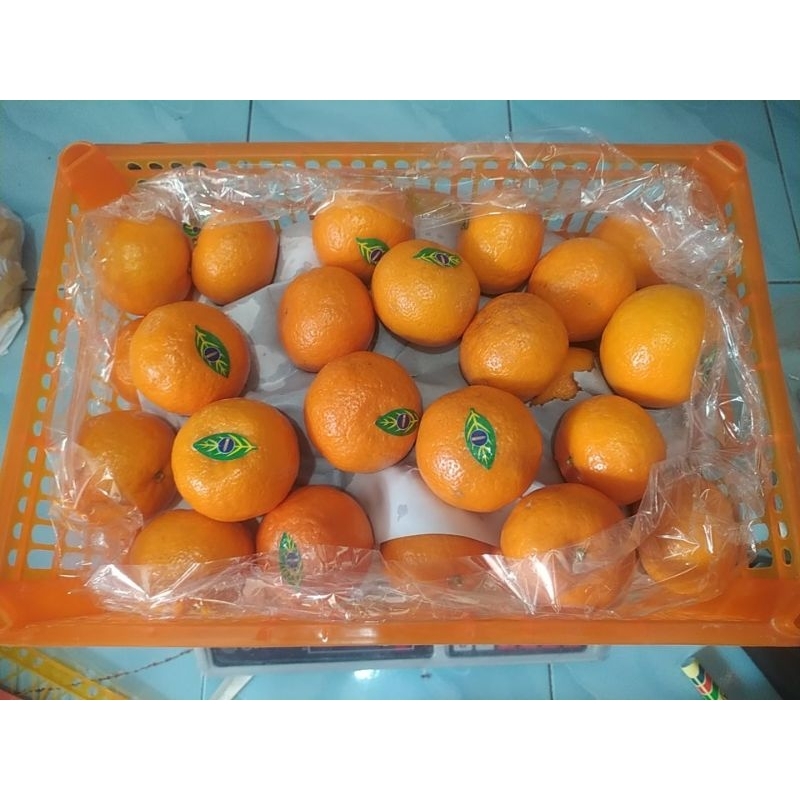

jeruk wogan daun 1 krat isi 6 kg up / jeruk wogan daun premium 1 keranjang