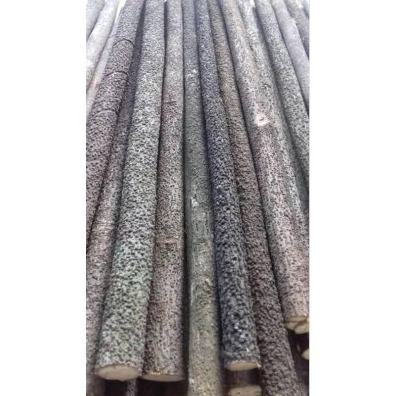 TANGKRINGAN ASEM BALI SUPER