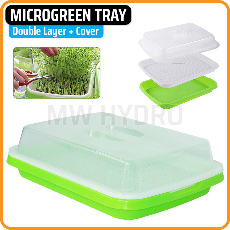 Microgreen Sprouting Tray with Cover - Tray Semai Microgreen dengan Tutup