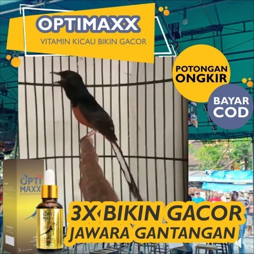 Distributor_Optimaxx opti max vitamin burung murai kacer cak ijo anis jenggot kapas tembak wambi  ci
