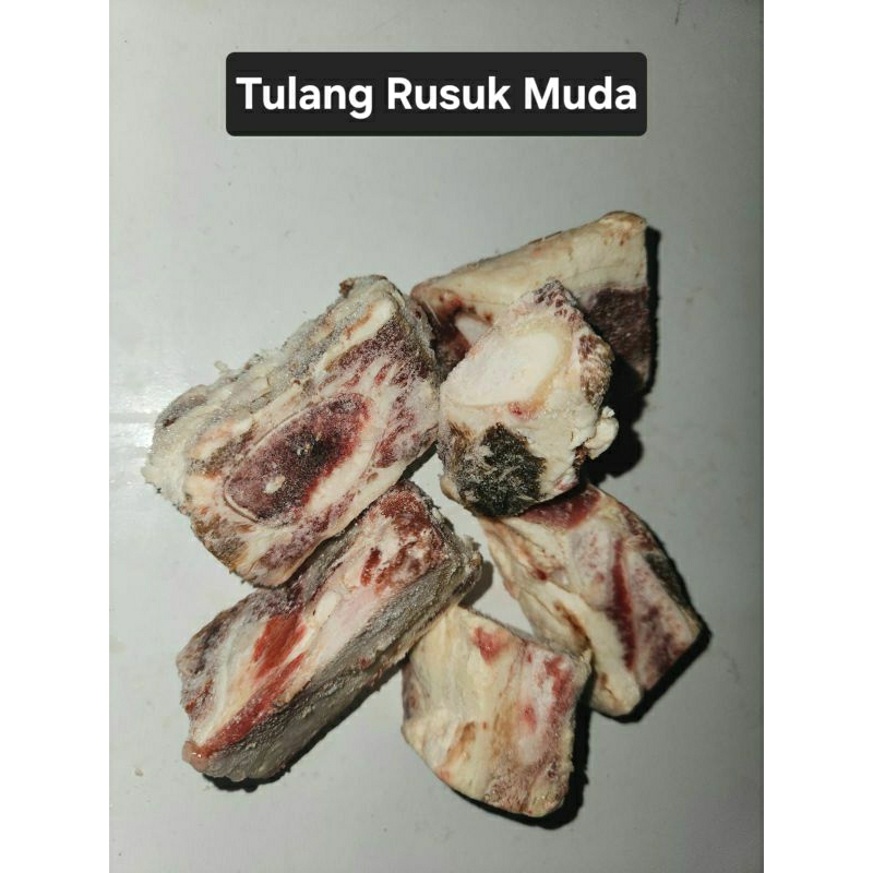 

Tulang Rusuk Iga Muda