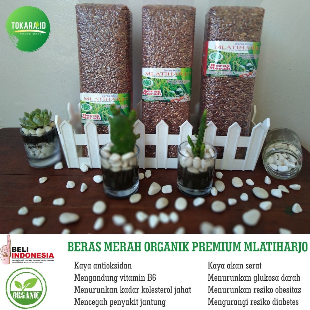 

Promo Keren Beras merah organik premium diet MPASI