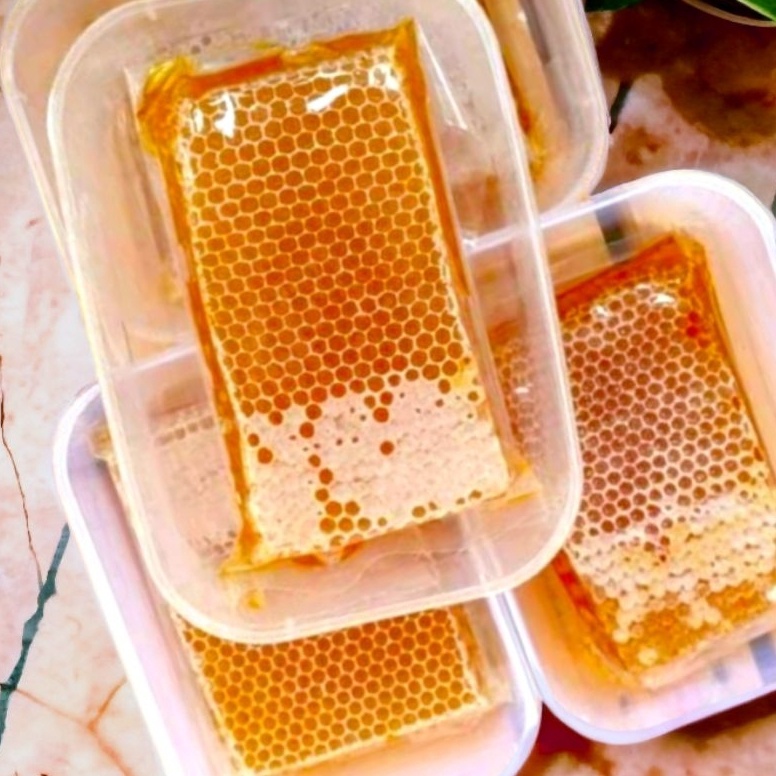 

Sikat abis Madu Sarang Melifera Asli 255 gram Madu Multiflora Murni Super Premium Original