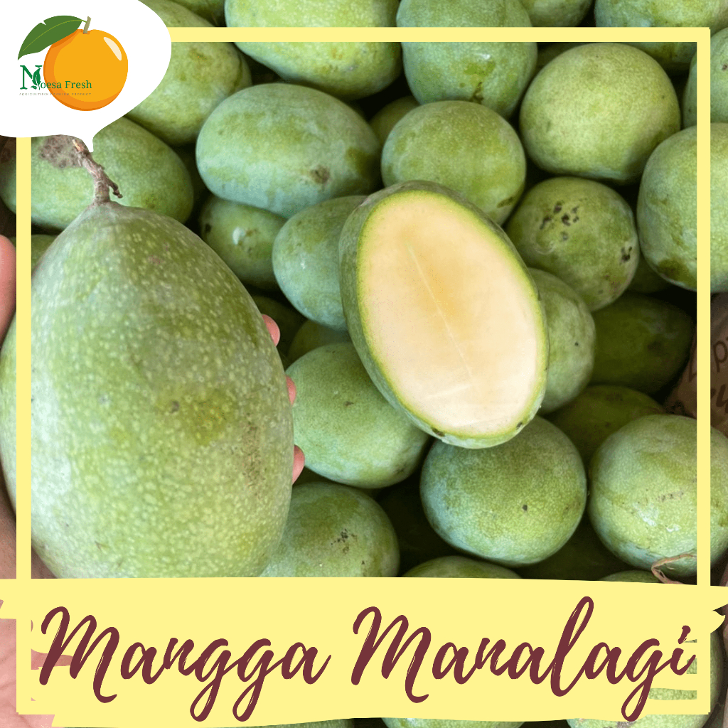 

Mangga Manalagi Fresh 1kg