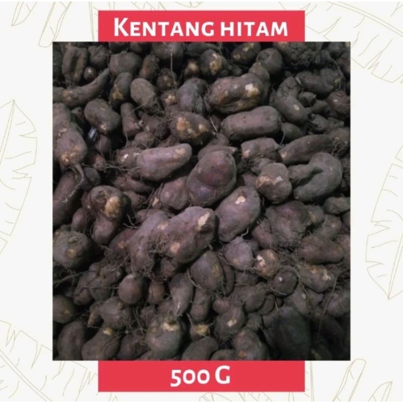 

Kentang Jawa 500gram