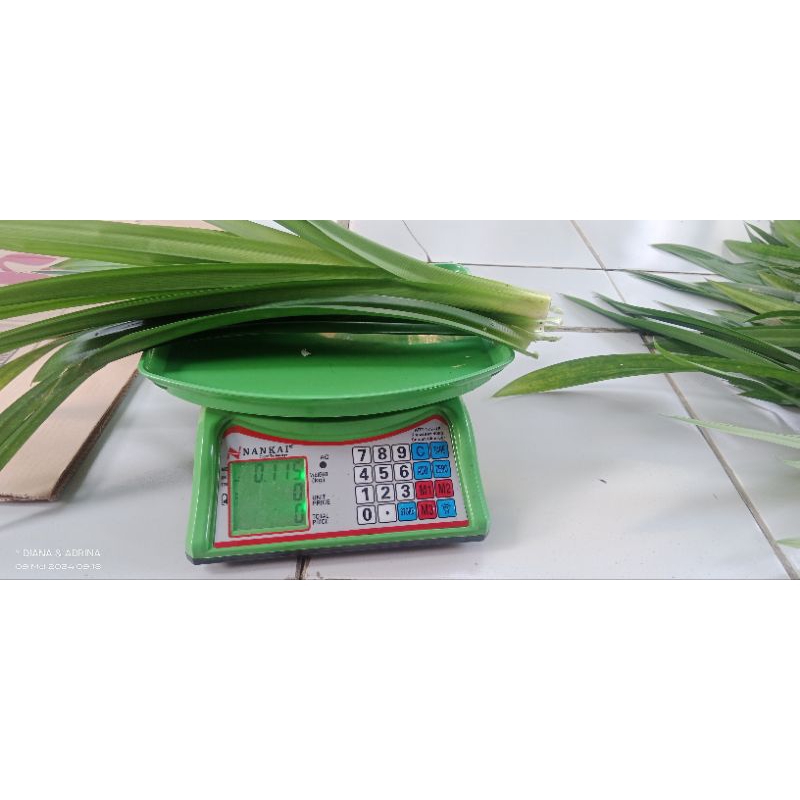 

Daun pandan wangi per 500gram