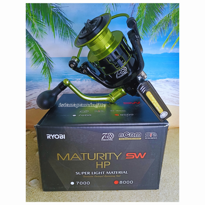 REEL RYOBI MATURITY SW HP 4000/8000