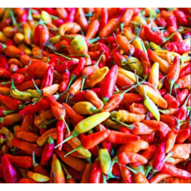 

cabe rawit pedas dan sedap ori berat 500g