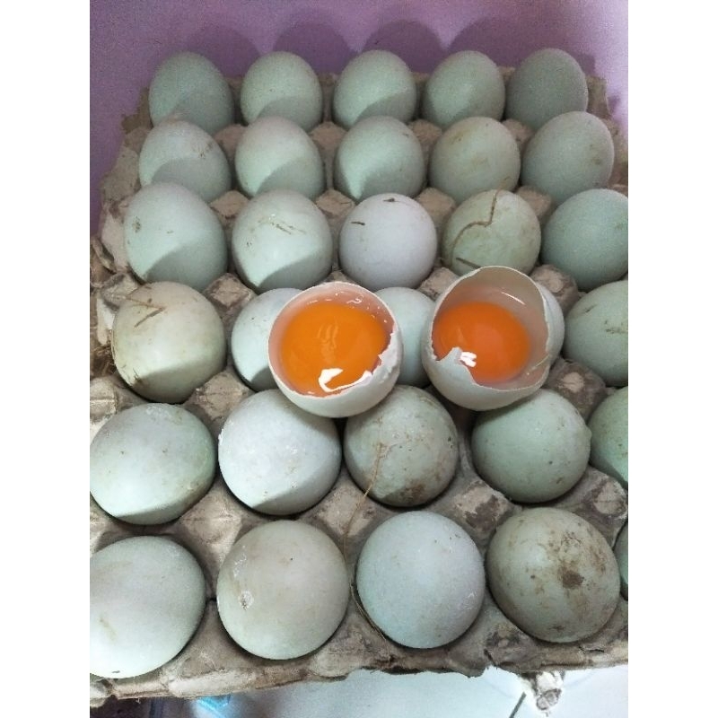 

Telur bebek omega , khusus wilayah semarang