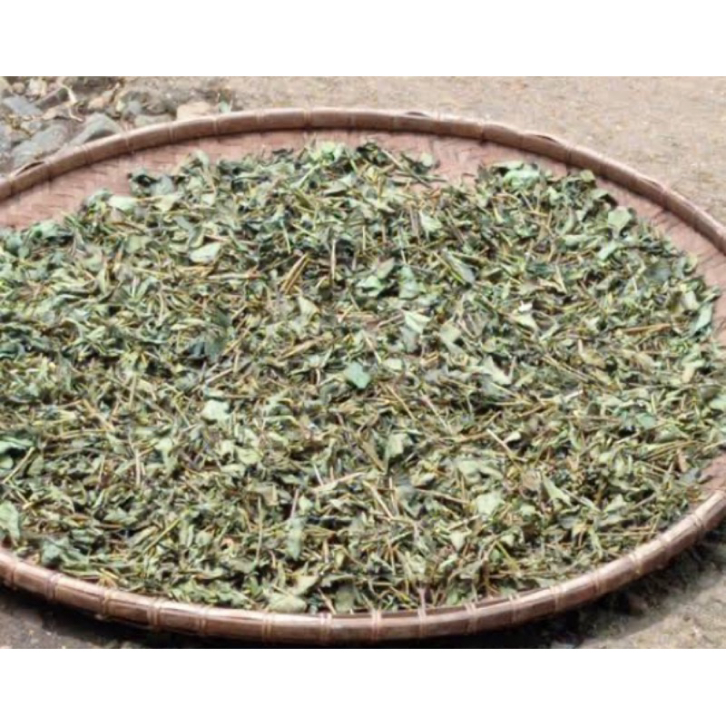 

Daun jarong kering daun pecut kuda kering 500 gram-az