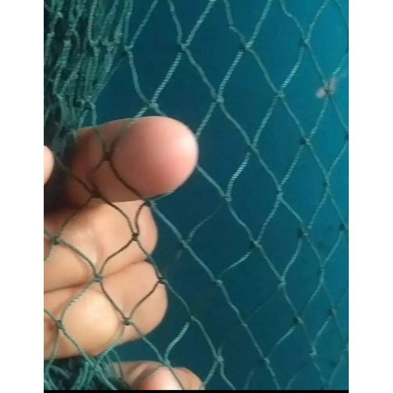 jaring pagar ayam  ukuran 2x10meter lubang kecil (bekas nelayan)