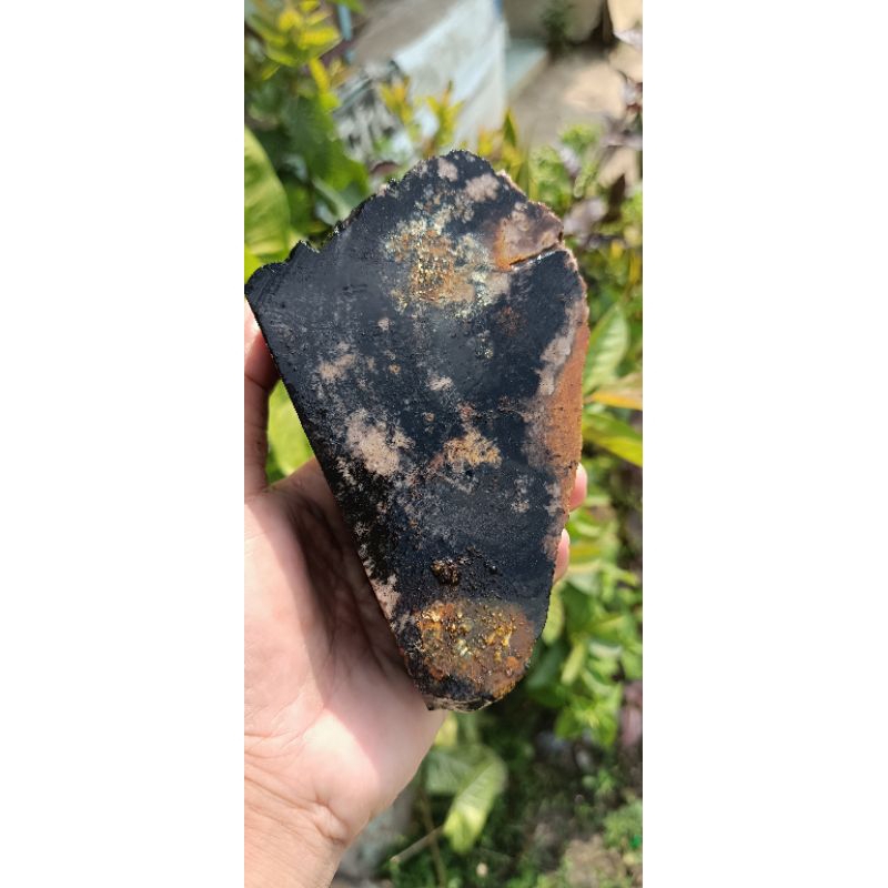 BATU BAHAN POSIL KAYU BINTIK 32Y