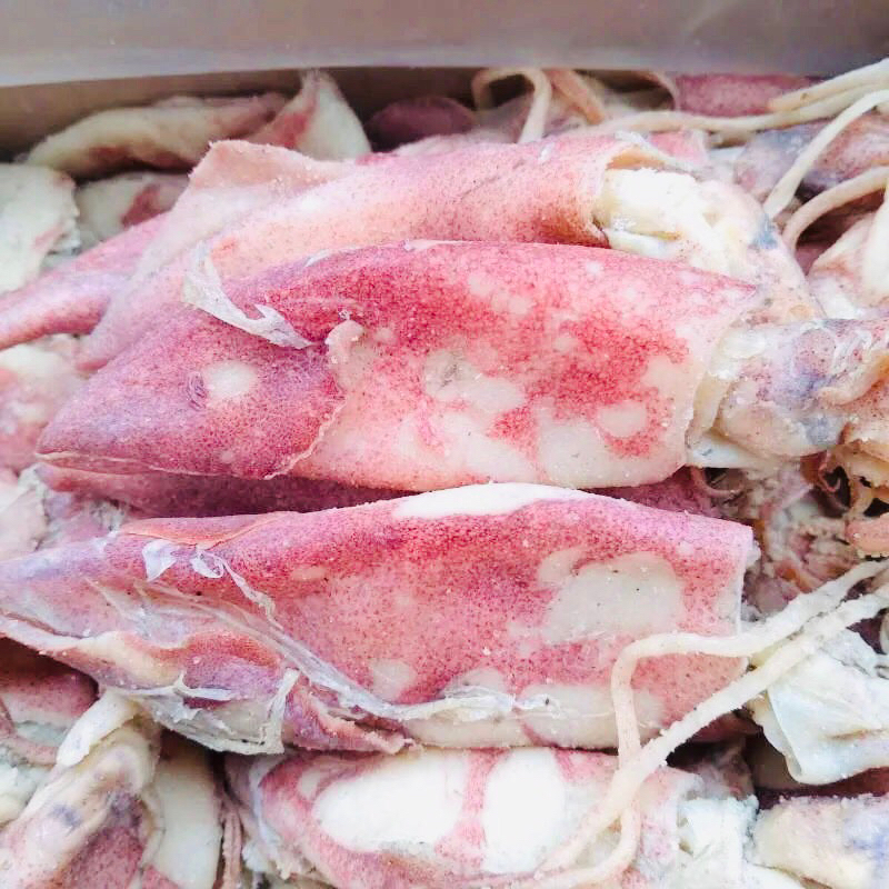 

Cumi Ikan Asin Cumi Kering Termurah