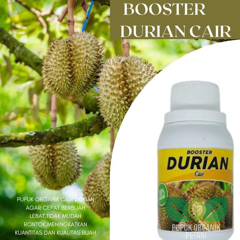 Pupuk organik booster durian booster cair durian musang king,montong,durian lokal agar mudah berbung