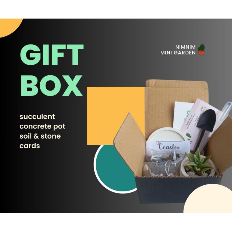 Paket Hampres Souvernir Kado Kaktus sekulen Planting kit Box terrarium