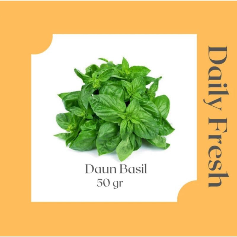 

Daun Basil Segar 100 gram