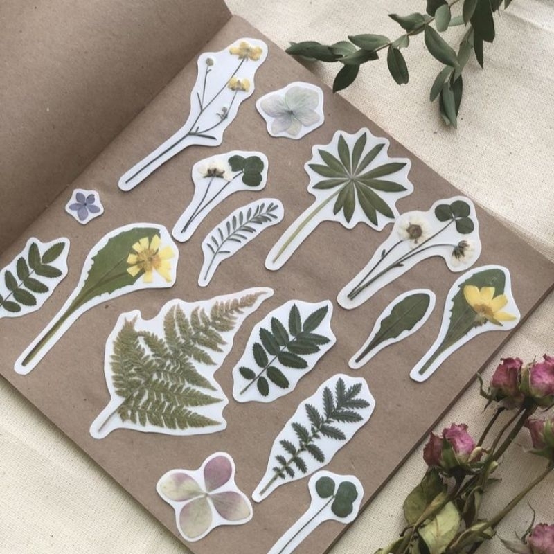 

(BACA DESKRIPSI) Stiker Bunga & Daun Aesthetic | DIY Sticker | Pressed Flower Sticker