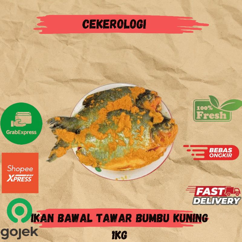 

Ikan Bawal Tawar Bumbu Kuning 1kg / Ikan Bawal Tawar Bumbu Kuning / Ikan Bawal Tawar Fresh Berkualitas / JABODETABEK / Ikan Segar / Ikan