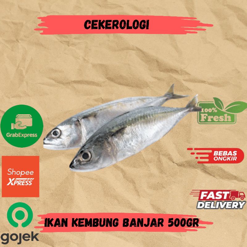 

Ikan Kembung Banjar 500gr / Ikan Kembung Banjar / Ikan Kembung Banjar Fresh Berkualitas / JABODETABEK / Ikan Kembung / Ikan Segar / Ikan