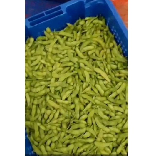 

EDAMAME FRESH