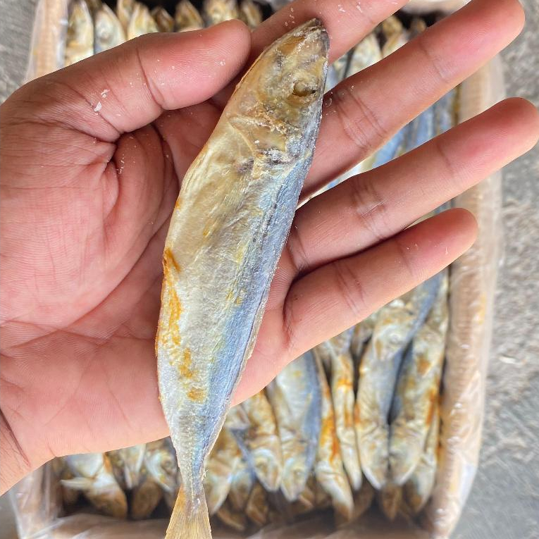 

Ikan Asin Klotok Peda Layang 1Kg/Cocok Untuk Sambal Klotok/Tidak Mblenyek