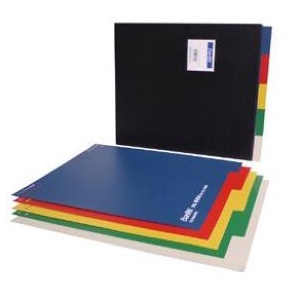 

First Come Bantex PP Colour Divider A4Pembatas BinderPenyekat Ordner