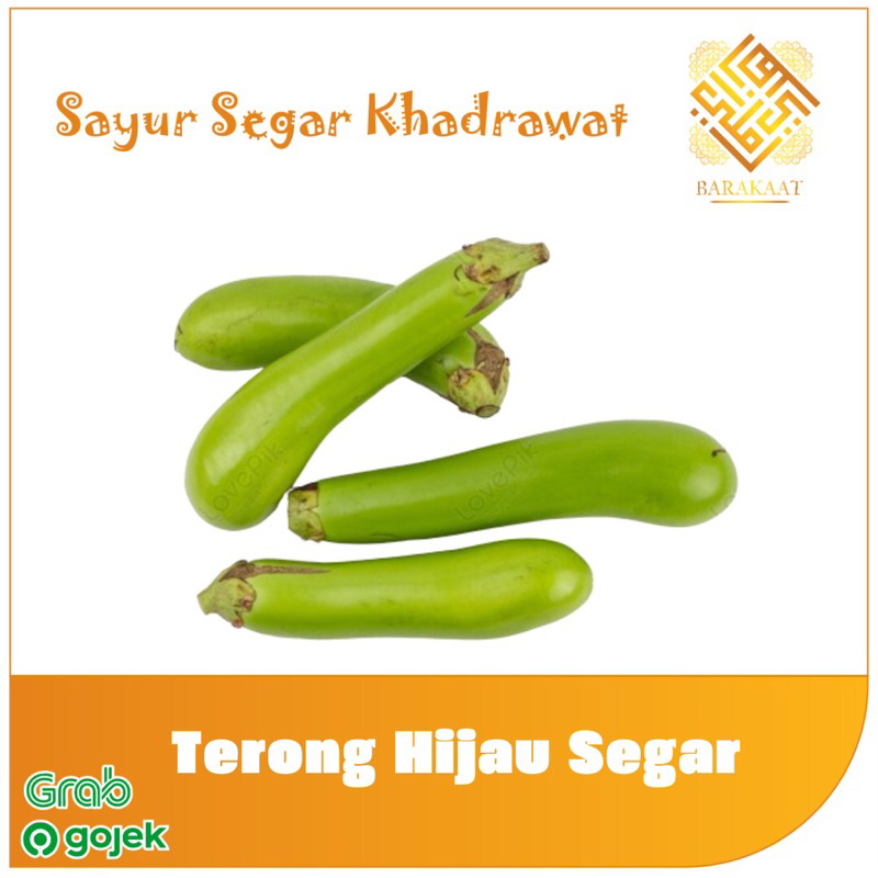 

Terong Hijau Segar