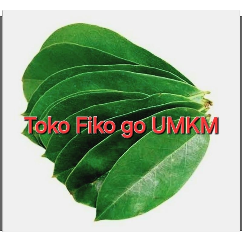 

Daun Sirsak Segar Obat Herbal 100 Lembar